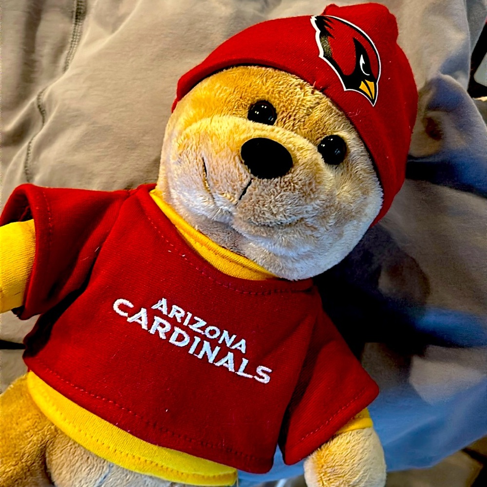 AZ Cardinals Skull Cap Teddy Bear